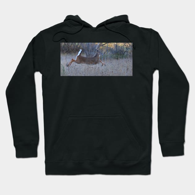 On Prancer! - White-tailed Buck Hoodie by Jim Cumming